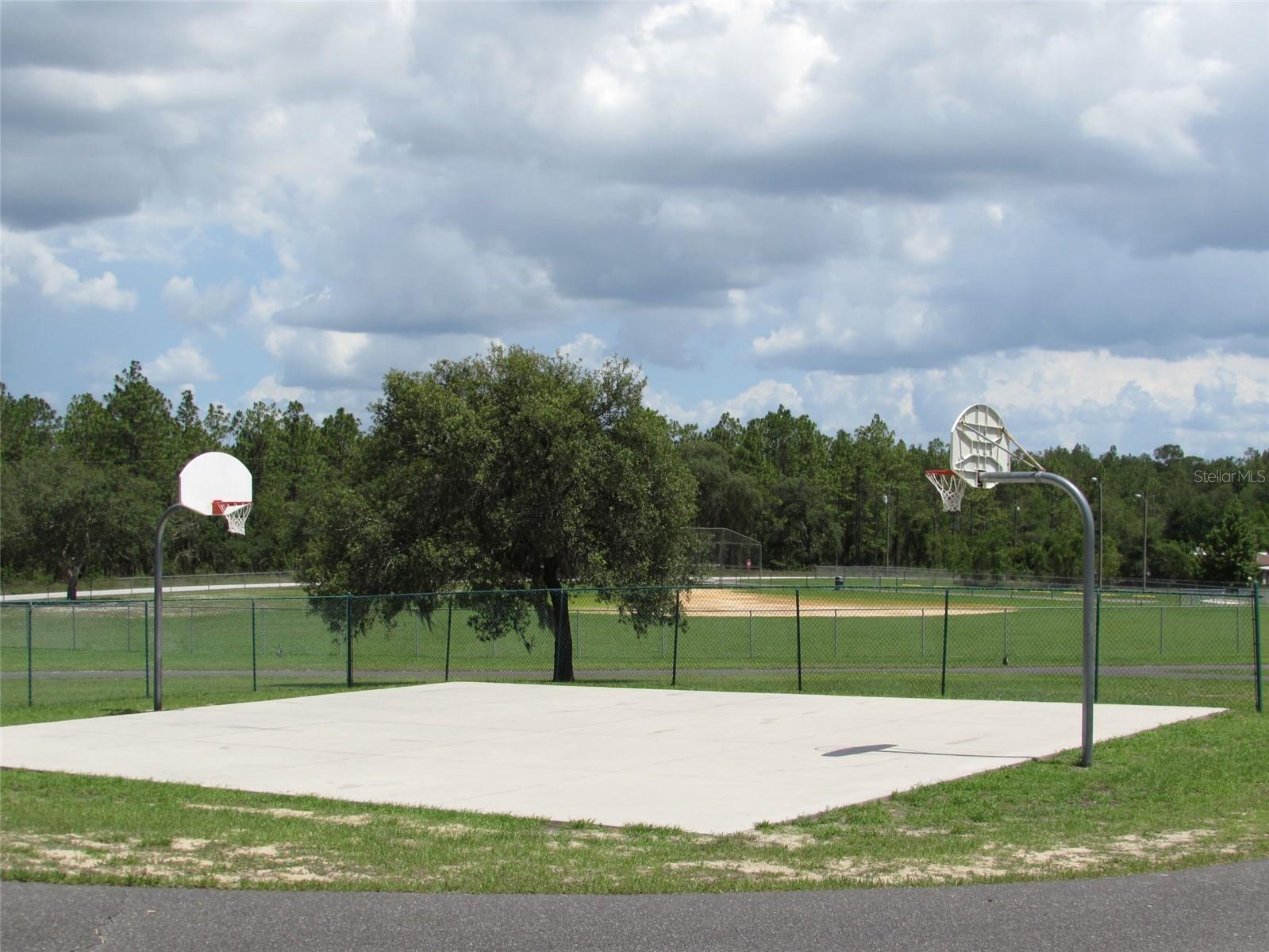 0 SW BIG BEAR RDG, DUNNELLON, FL — photo 16