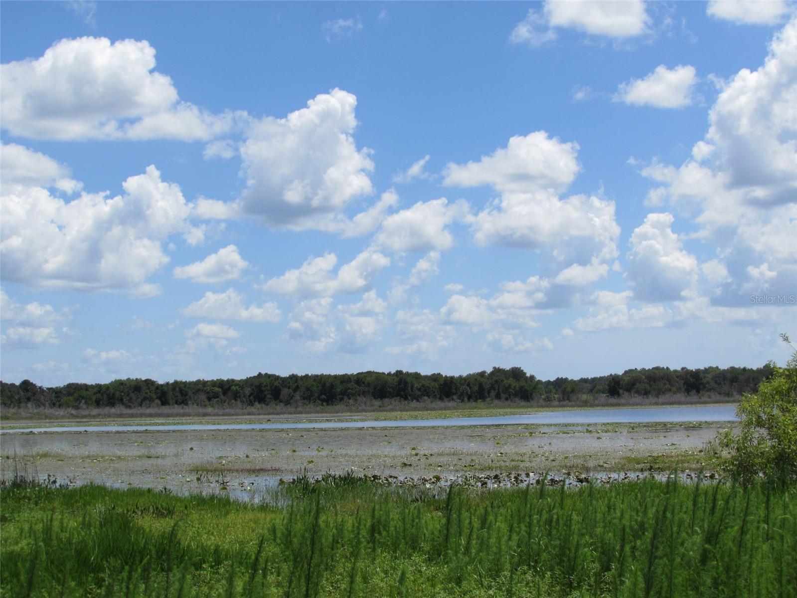 0 SW BIG BEAR RDG, DUNNELLON, FL — photo 18