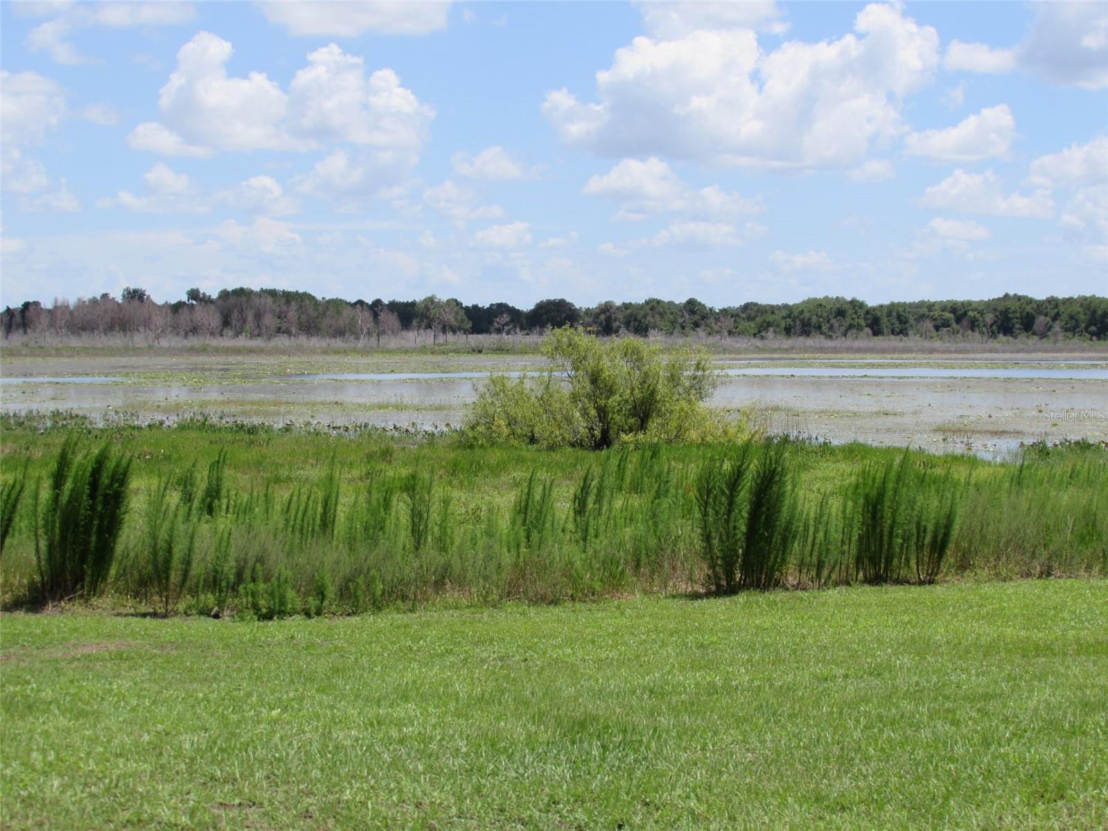 0 SW BIG BEAR RDG, DUNNELLON, FL — photo 19