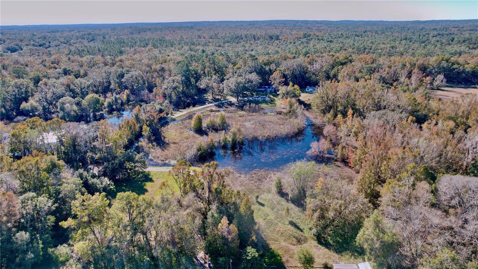 9481 PATRICK ST, BROOKSVILLE, FL — photo 68