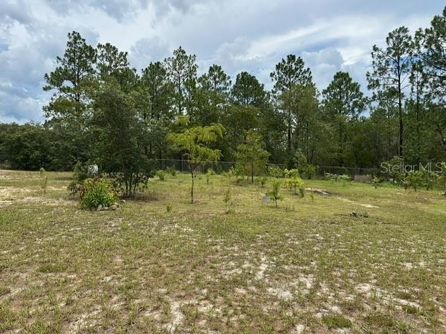2551 SW HARBOR HILLS RD, DUNNELLON, FL — photo 24