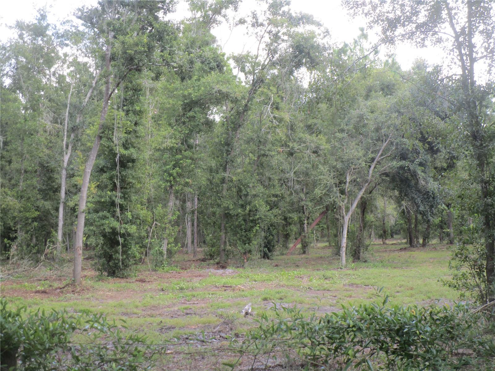 00 CASTLEWOOD RD, SEFFNER, FL — photo 4
