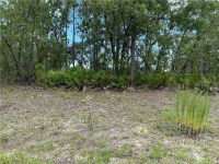 1195 W HAMPSHIRE BLVD — photo 2