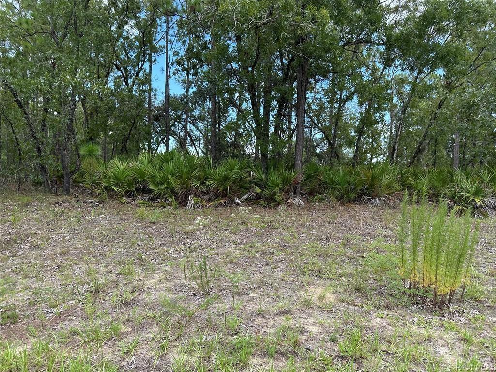 1195 W HAMPSHIRE BLVD, CITRUS SPRINGS, FL