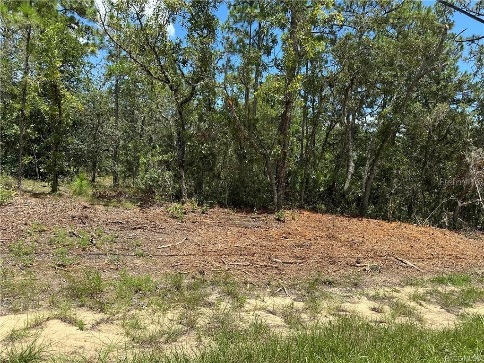 955 W HAMPSHIRE BLVD, CITRUS SPRINGS, FL — photo 2