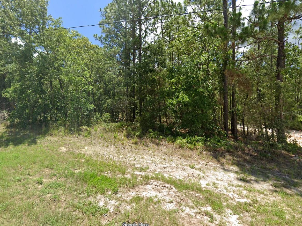 TBD SW 73RD AVENUE RD, OCALA, FL