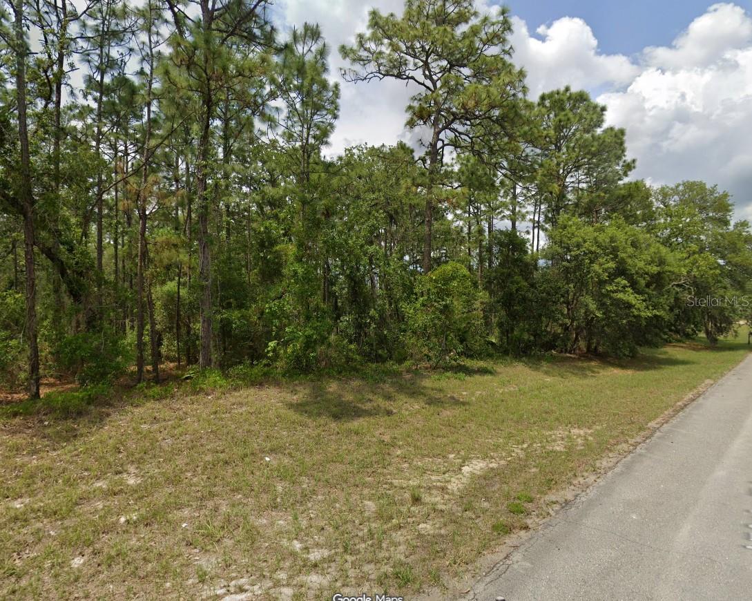 TBD SW 150TH PL, OCALA, FL