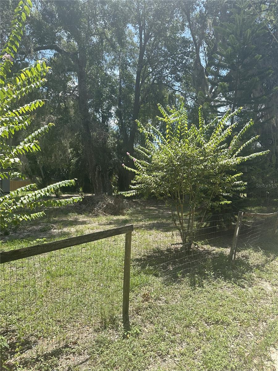 FERN DR, LEESBURG, FL — photo 3
