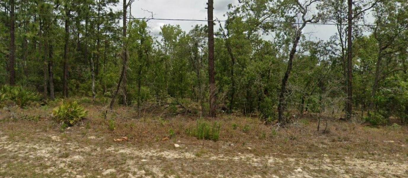 6627 N BEDSTROW BLVD, CITRUS SPRINGS, FL