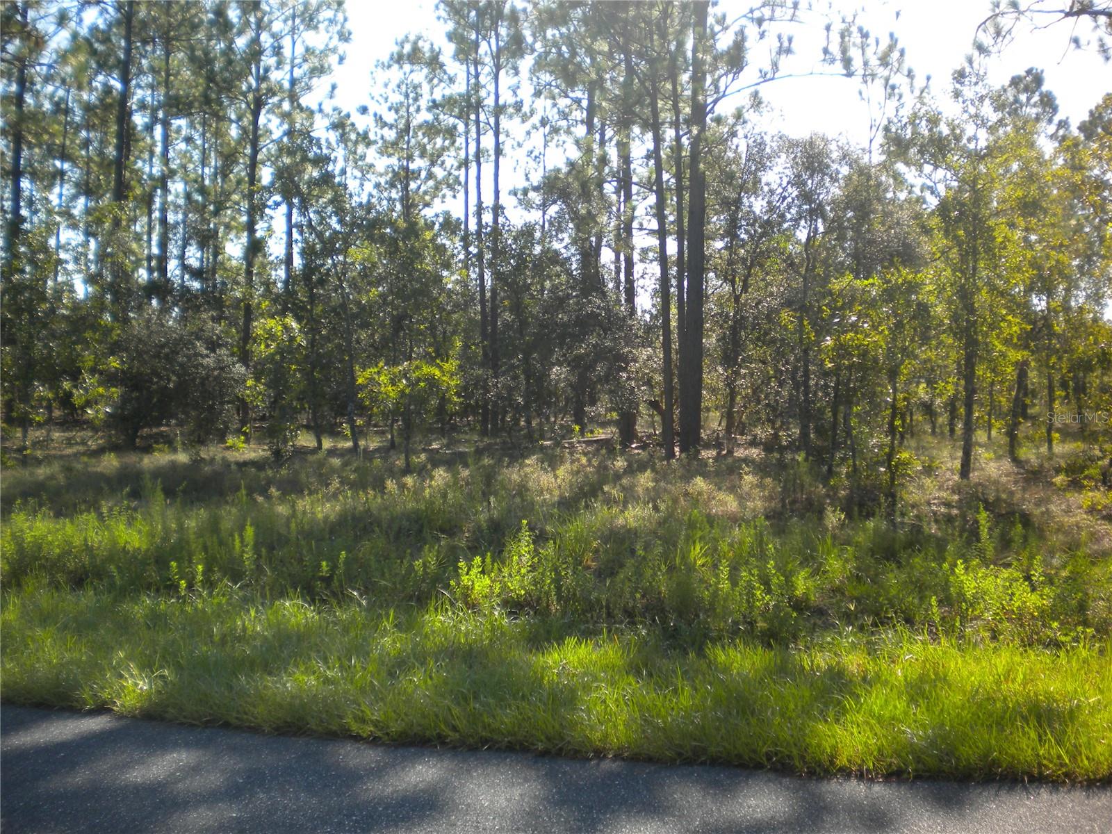 LOT14 SE 136 TH TER, DUNNELLON, FL — photo 4