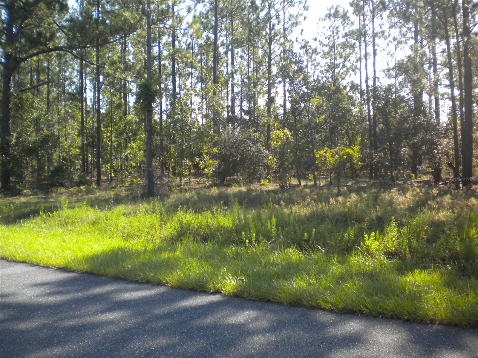 LOT14 SE 136 TH TER, DUNNELLON, FL — photo 5
