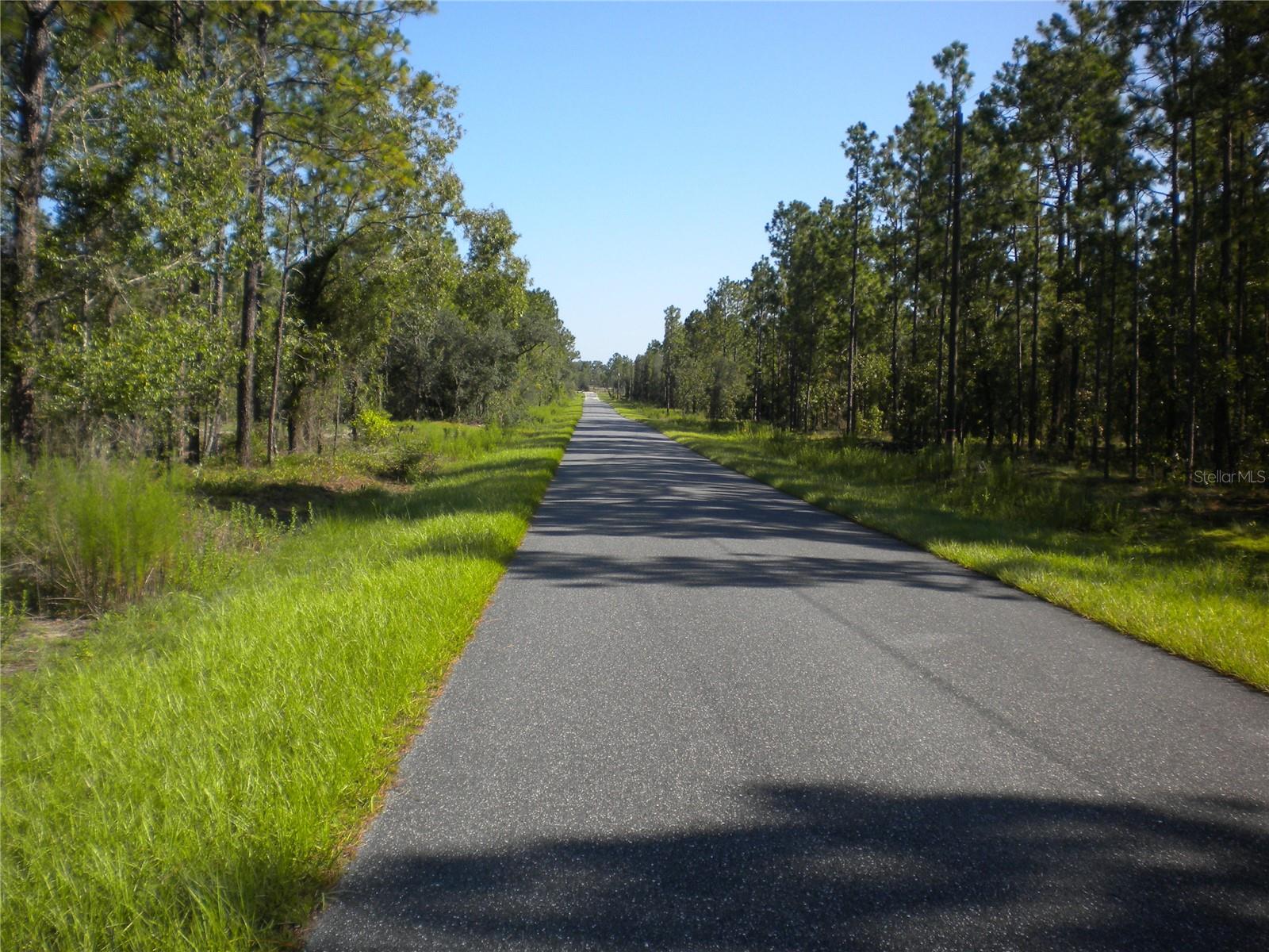 LOT14 SE 136 TH TER, DUNNELLON, FL — photo 6