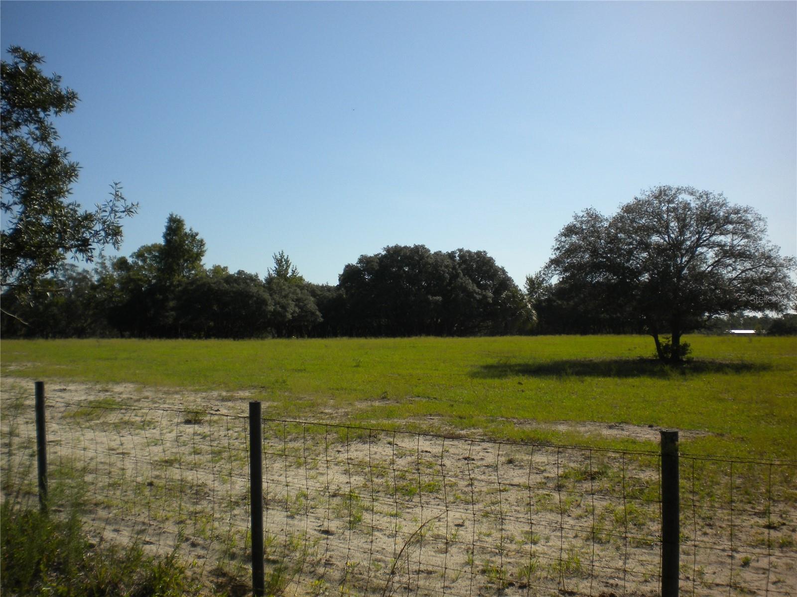 LOT14 SE 136 TH TER, DUNNELLON, FL — photo 7