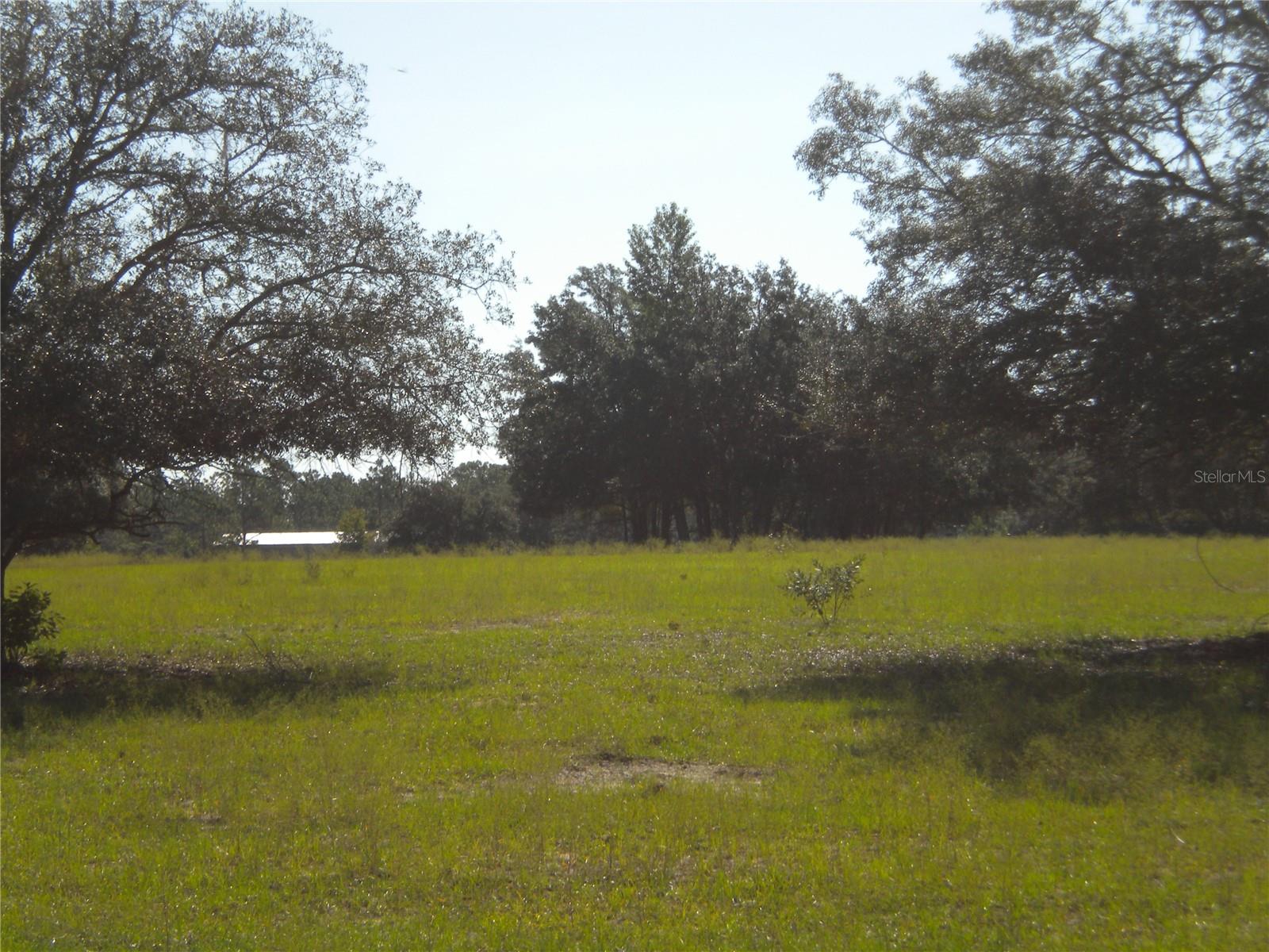 LOT14 SE 136 TH TER, DUNNELLON, FL — photo 8