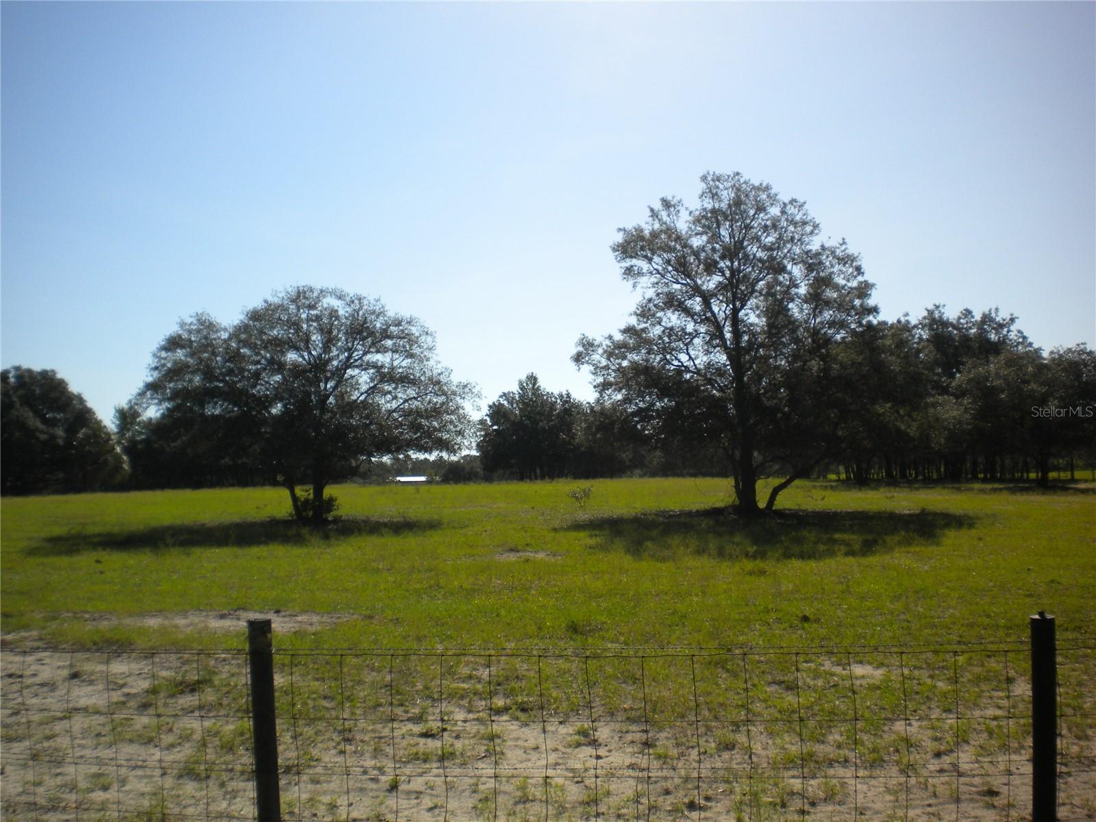 LOT14 SE 136 TH TER, DUNNELLON, FL — photo 2