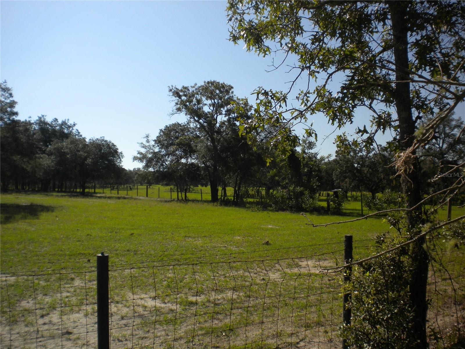 LOT14 SE 136 TH TER, DUNNELLON, FL — photo 9