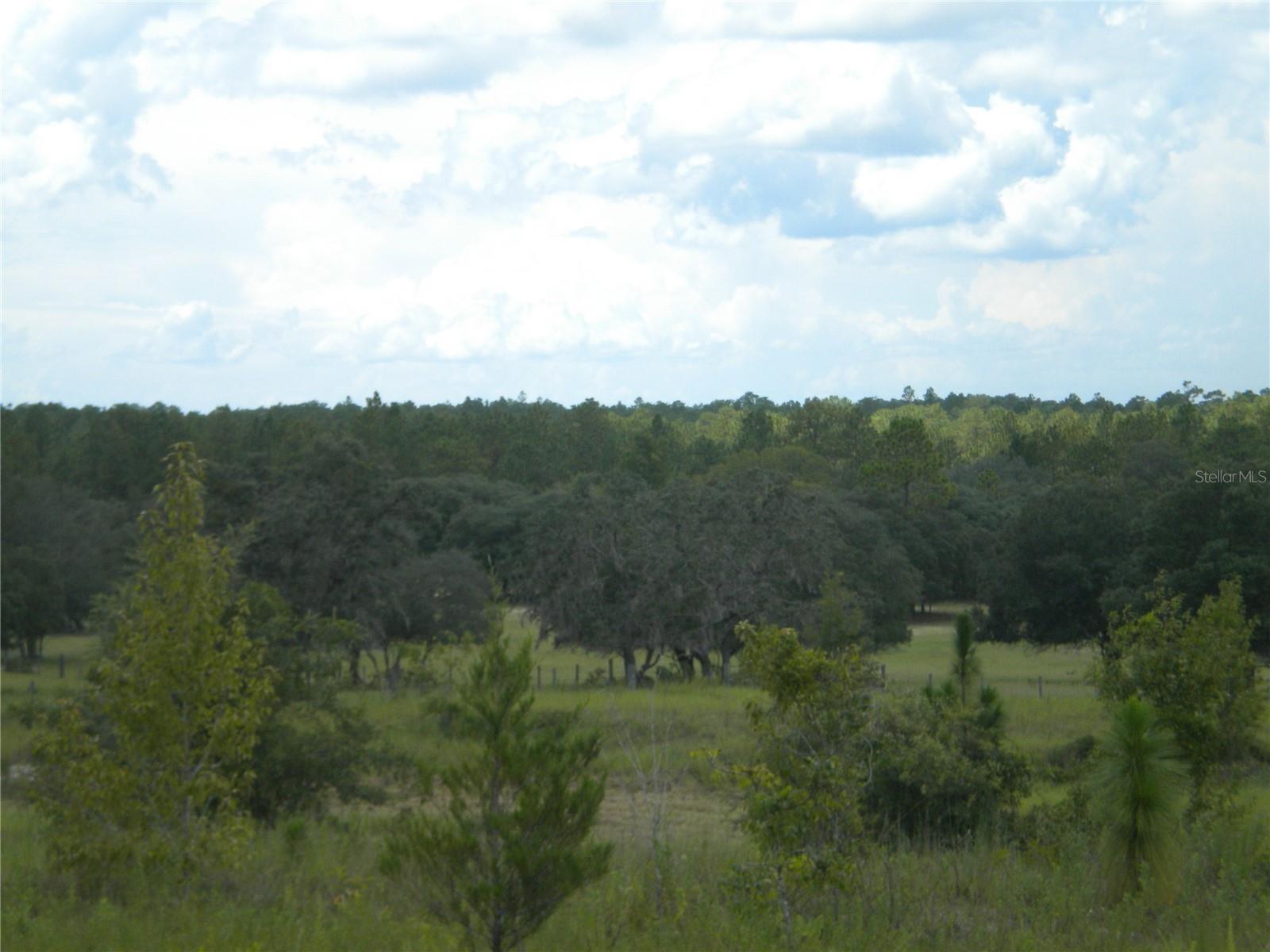 LOT14 SE 136 TH TER, DUNNELLON, FL — photo 11