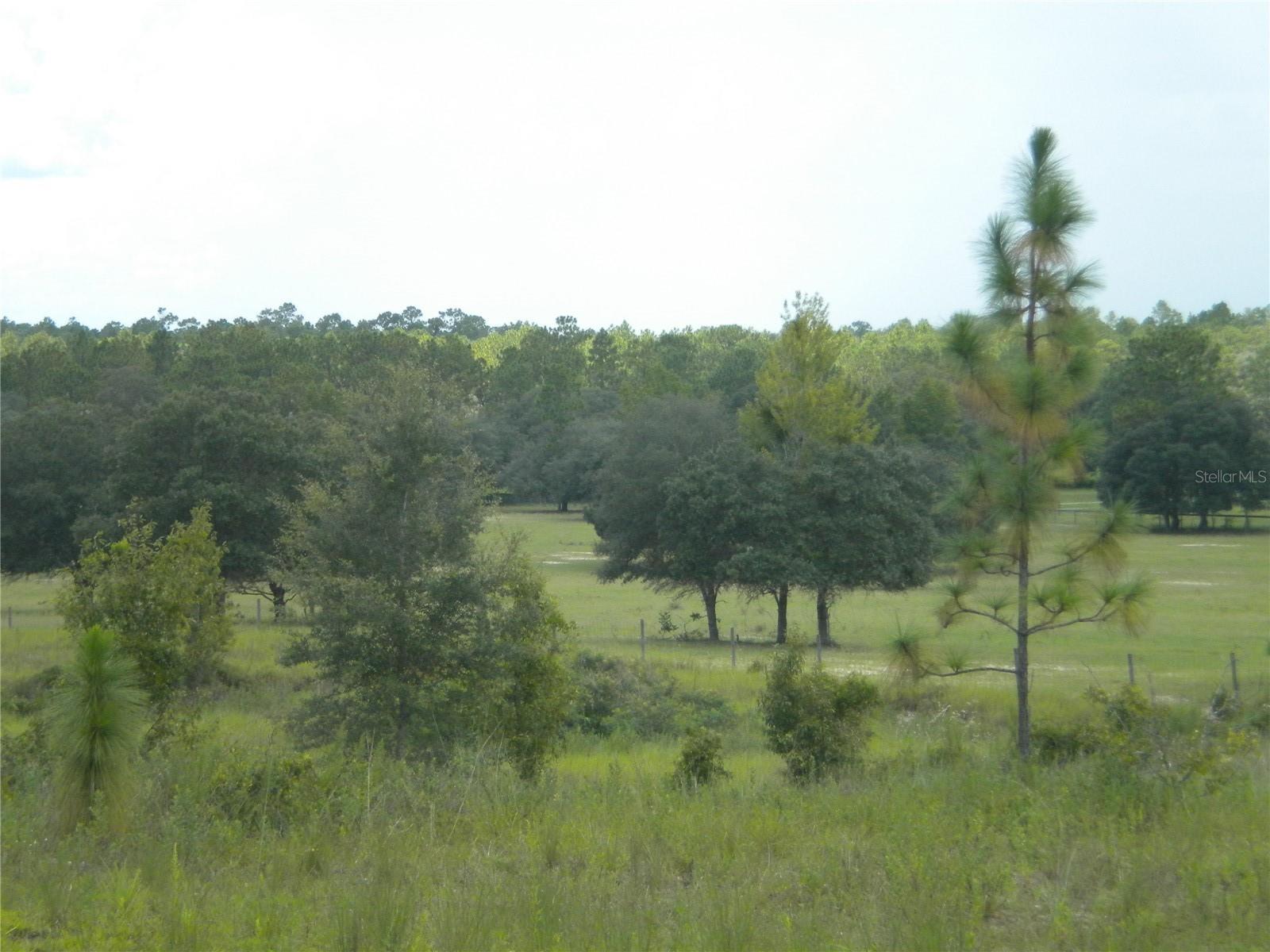 LOT14 SE 136 TH TER, DUNNELLON, FL — photo 12