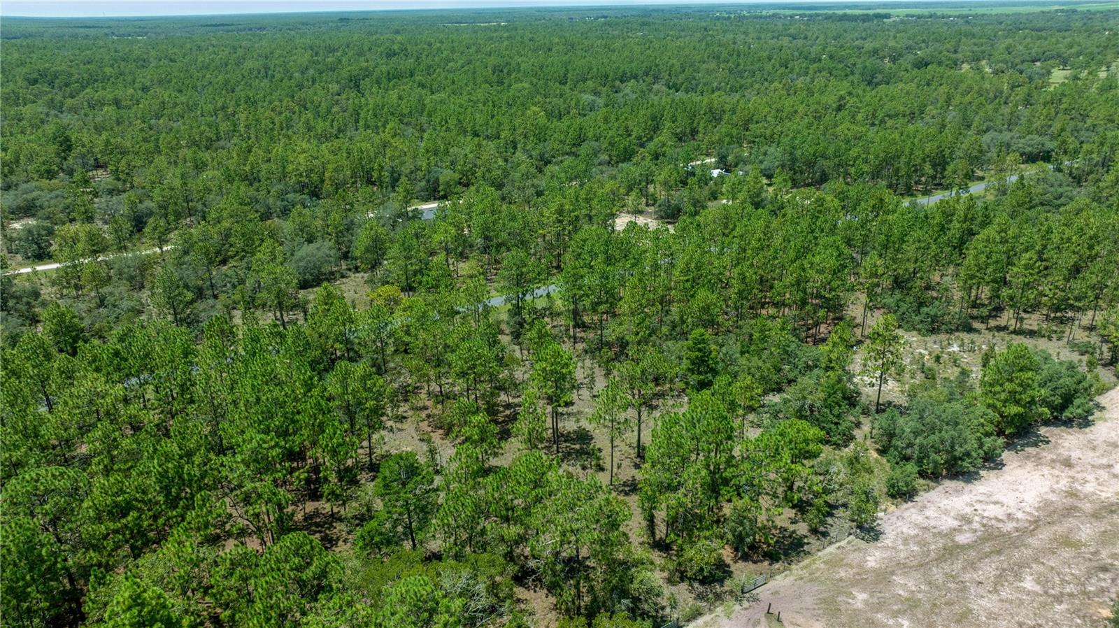 LOT14 SE 136 TH TER, DUNNELLON, FL — photo 14