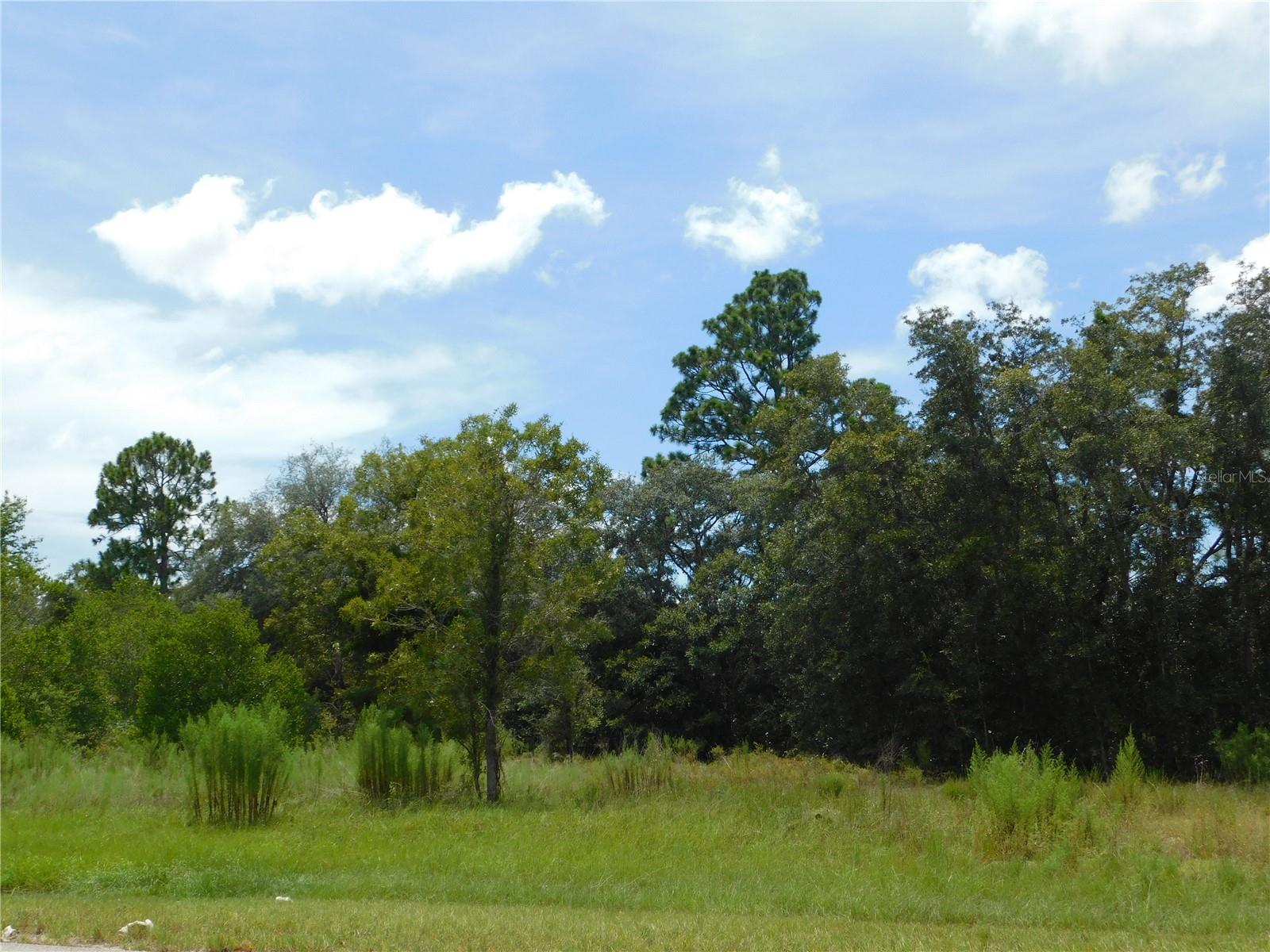 6681 N BEDSTROW BLVD, DUNNELLON, FL — photo 3