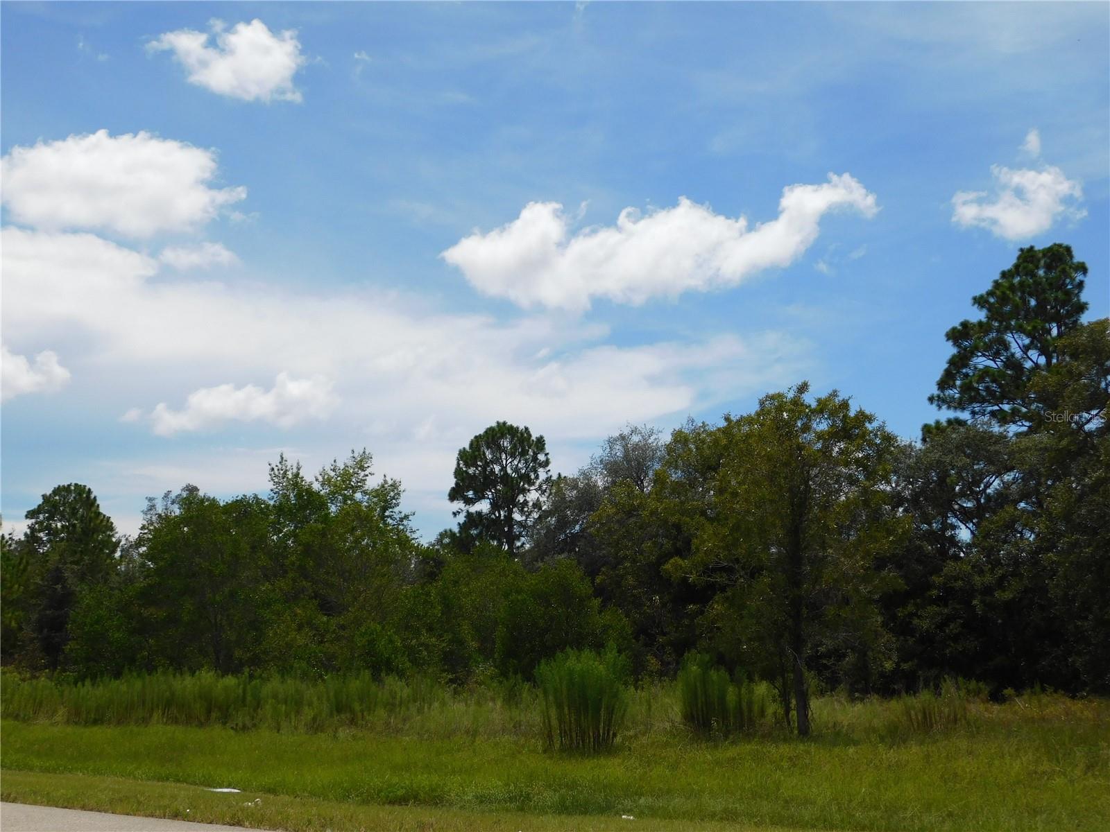 6681 N BEDSTROW BLVD, DUNNELLON, FL — photo 4