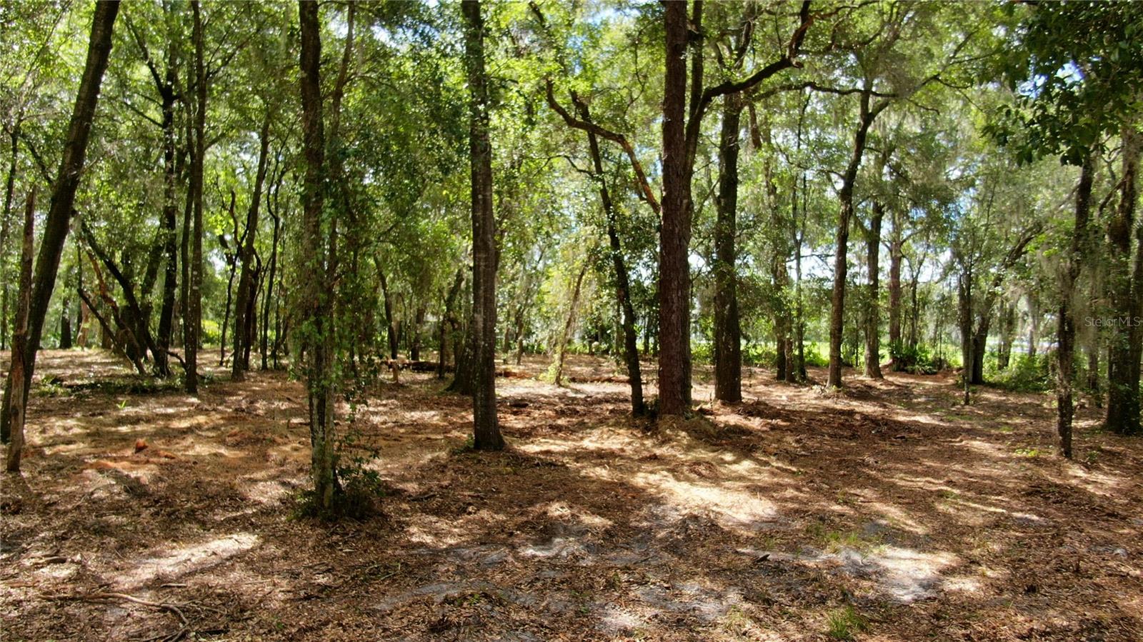 LAKE MARKHAM RD, SANFORD, FL — photo 7