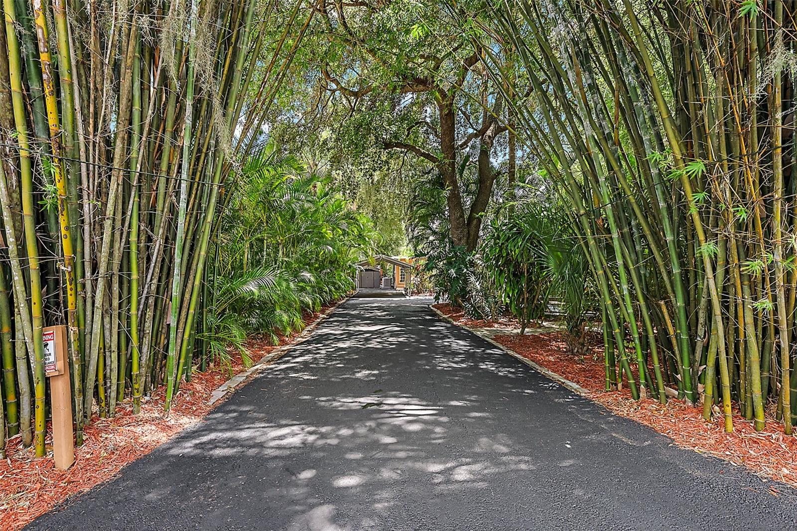 507 LAKESHORE DR, EUSTIS, FL — photo 4