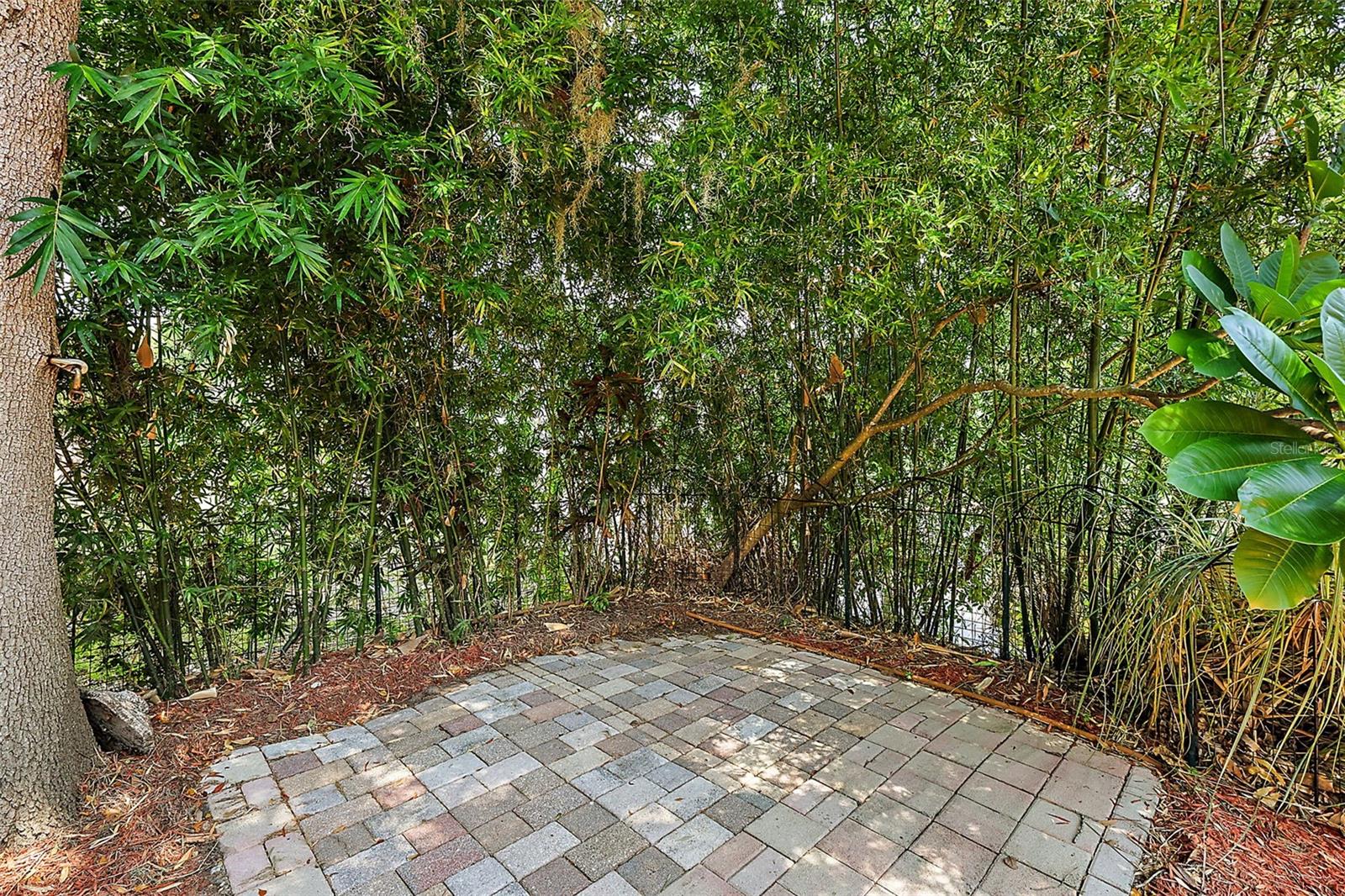 507 LAKESHORE DR, EUSTIS, FL — photo 81