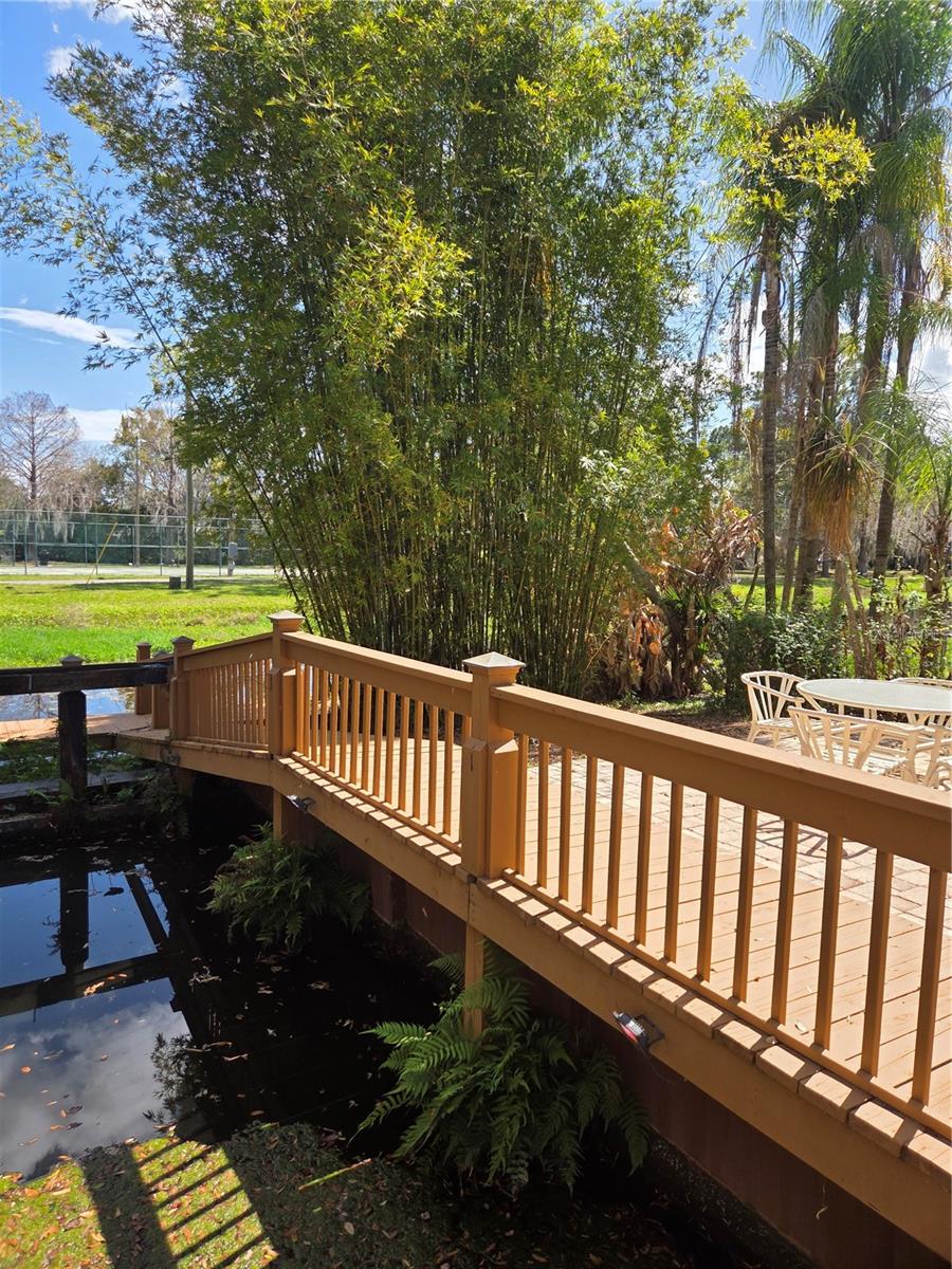 507 LAKESHORE DR, EUSTIS, FL — photo 159