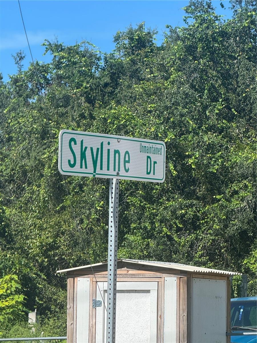 SKYLINE DR, DELAND, FL — photo 8