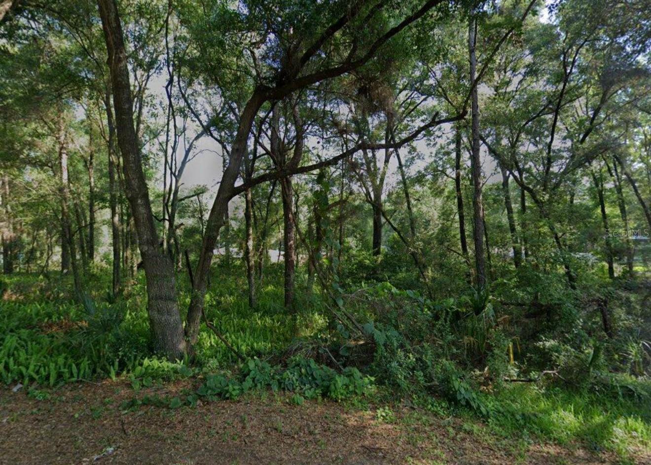 3015 EISENHOWER ST W, INVERNESS, FL — photo 4