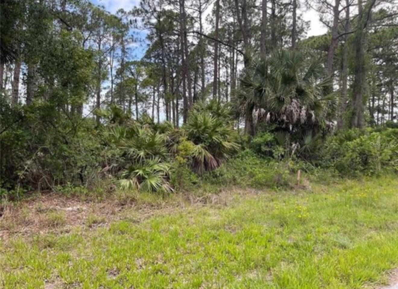 3015 EISENHOWER ST W, INVERNESS, FL — photo 7