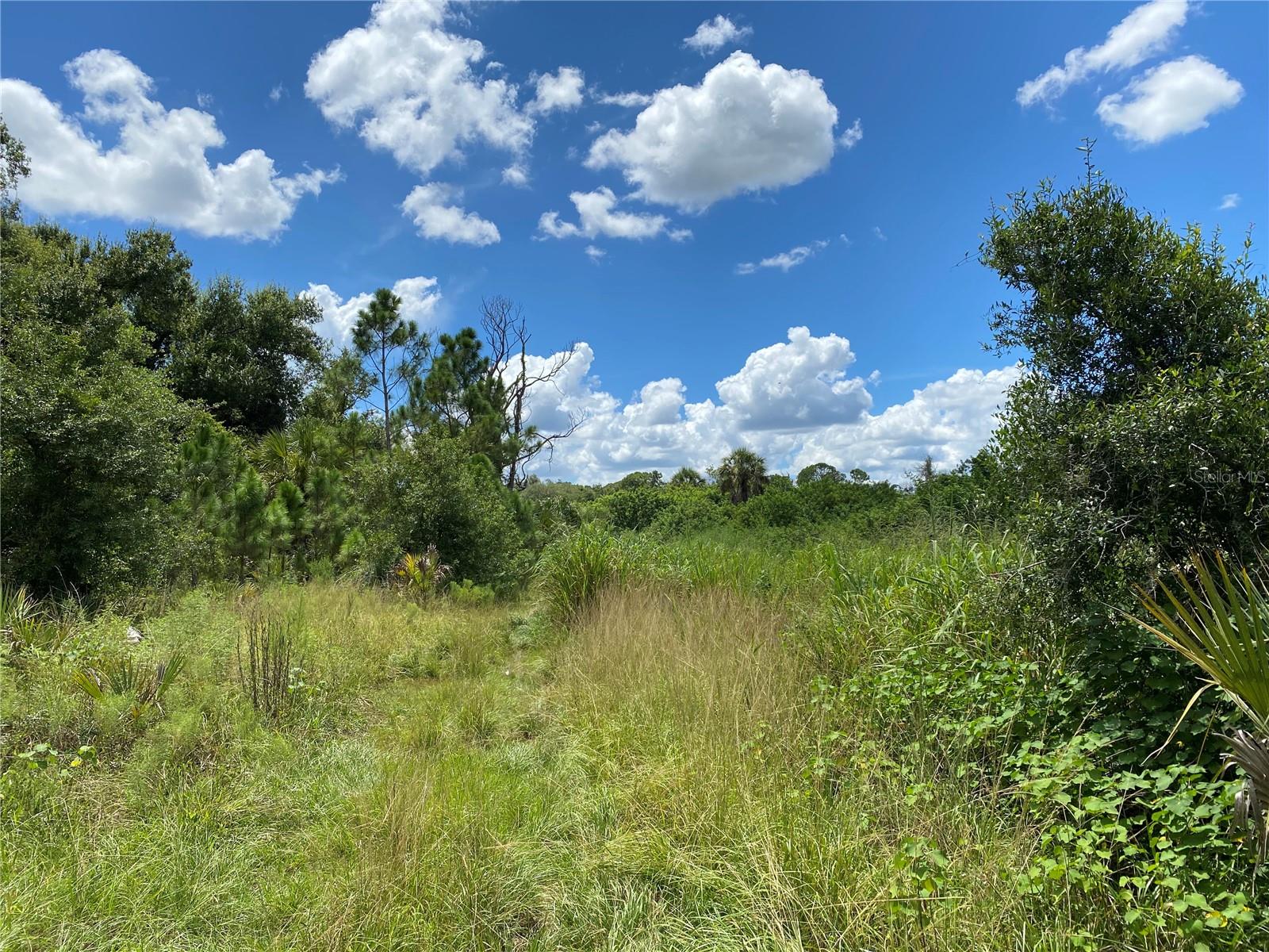 SULTAN CT, NORTH PORT, FL — photo 4