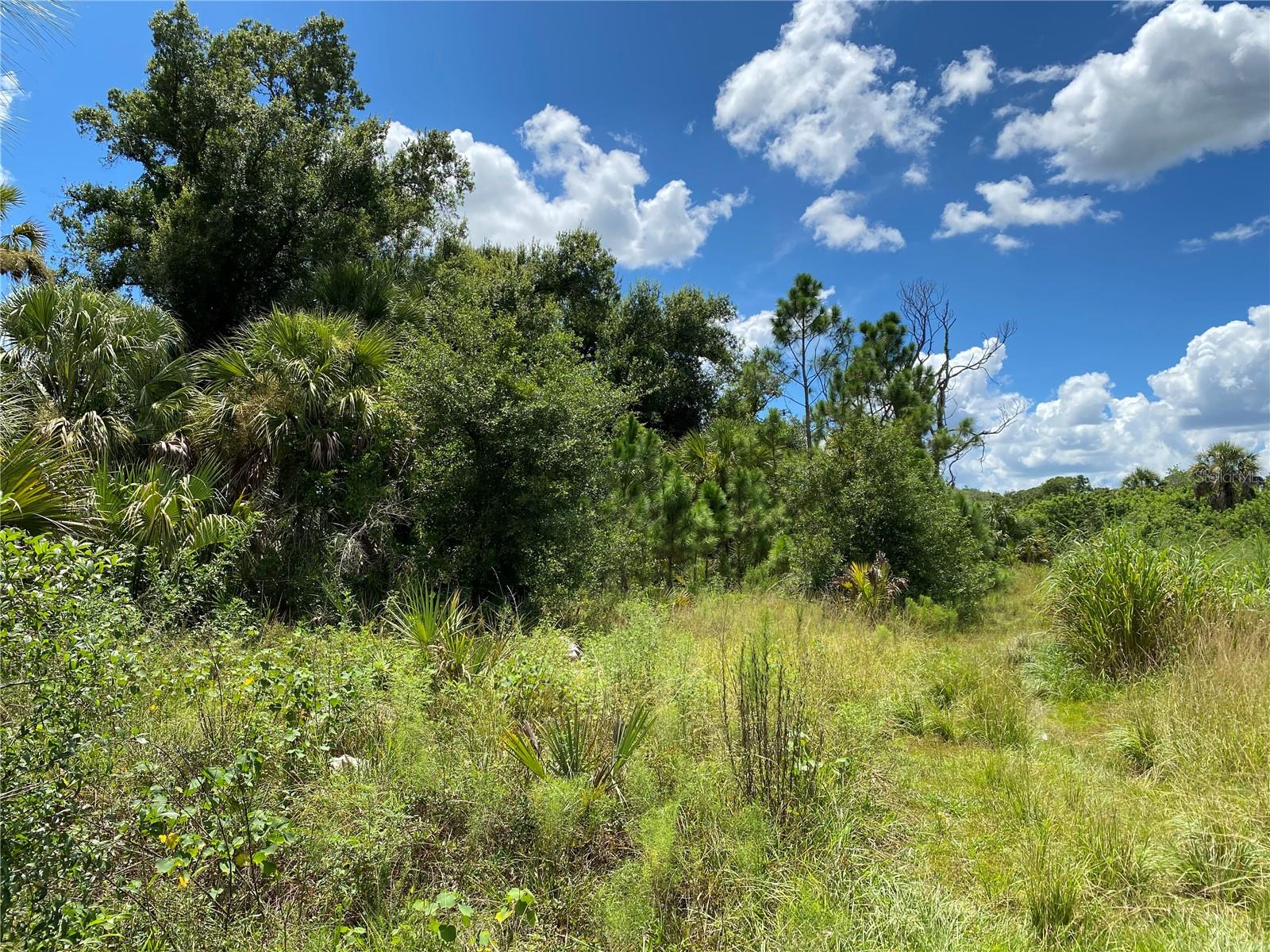 SULTAN CT, NORTH PORT, FL — photo 6