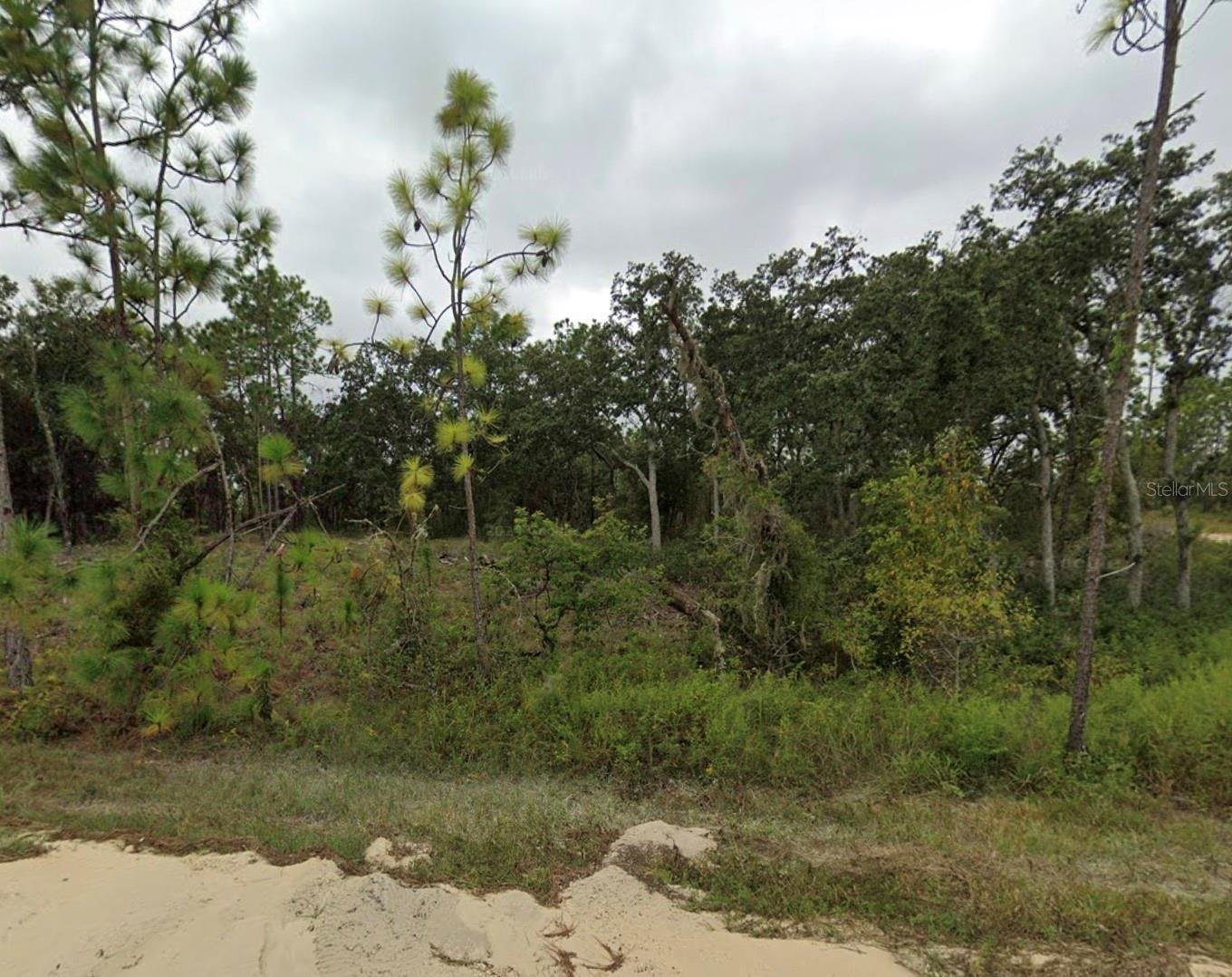 TBD SE 148 AVE, WILLISTON, FL — photo 3