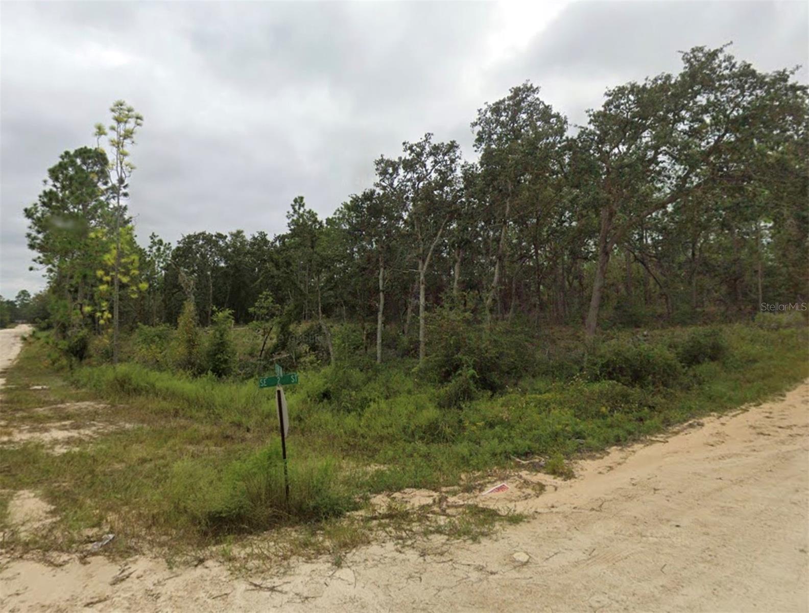 TBD SE 148 AVE, WILLISTON, FL — photo 5