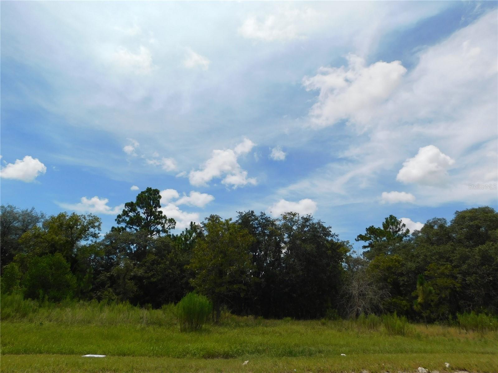 6683 N BEDSTROW BLVD, DUNNELLON, FL