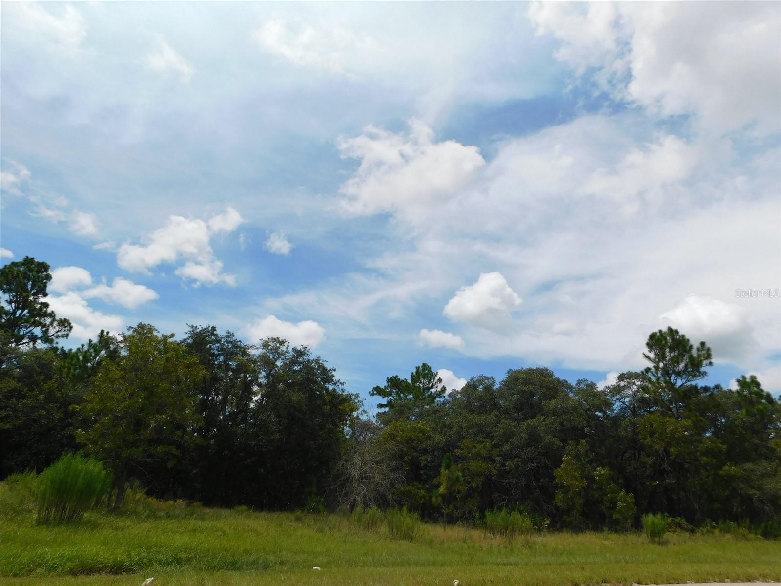 6683 N BEDSTROW BLVD, DUNNELLON, FL — photo 2