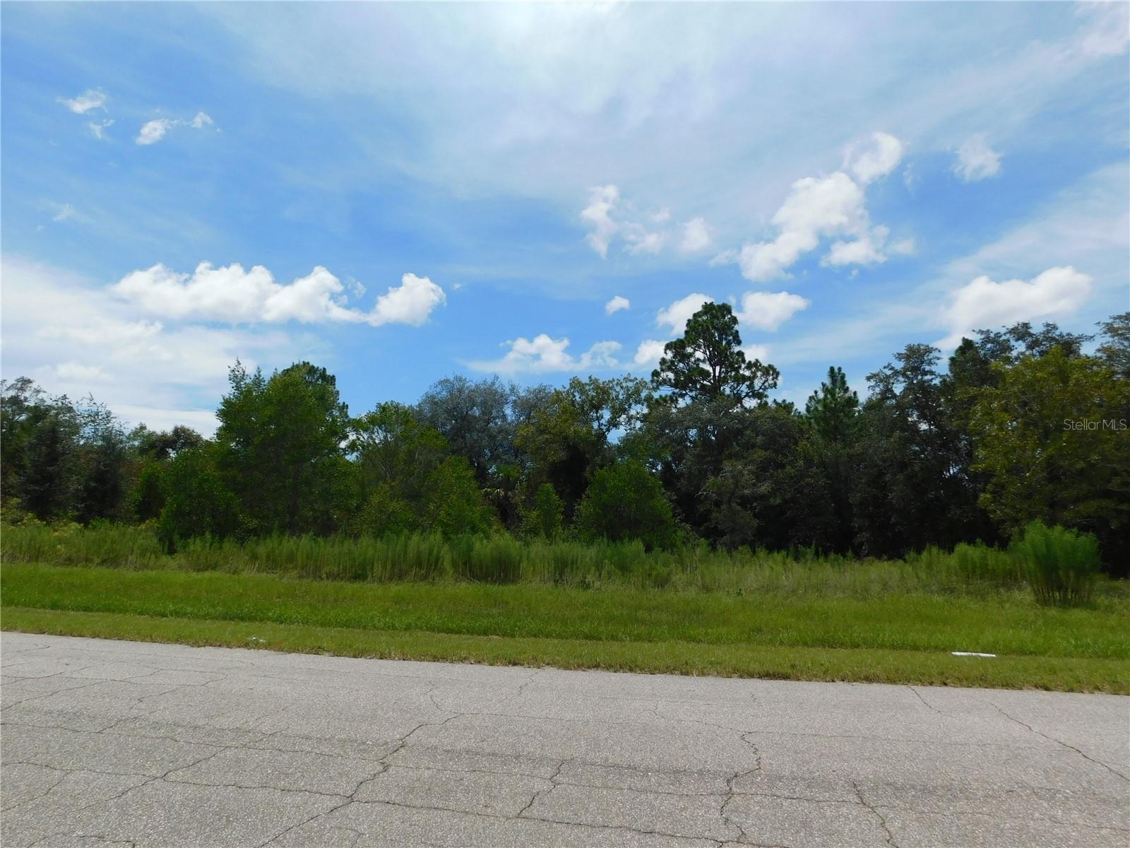 6683 N BEDSTROW BLVD, DUNNELLON, FL — photo 3