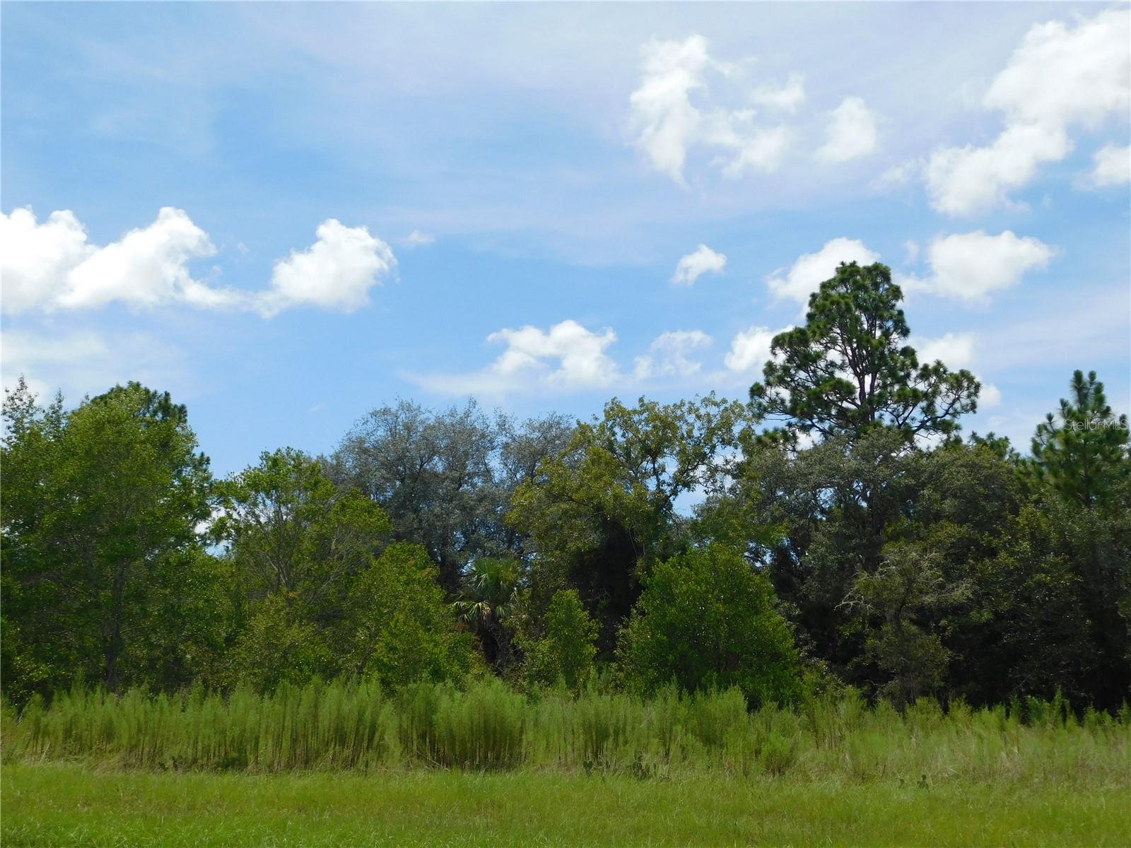 6683 N BEDSTROW BLVD, DUNNELLON, FL — photo 4