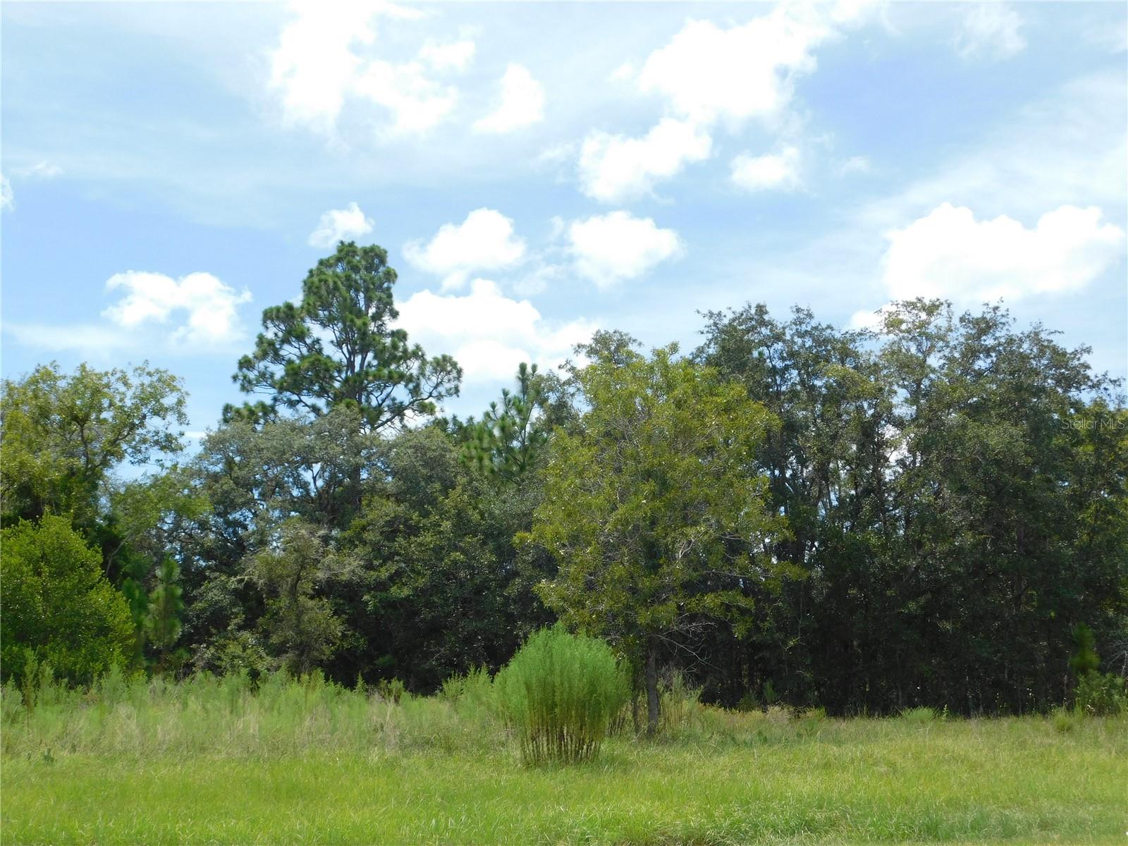 6683 N BEDSTROW BLVD, DUNNELLON, FL — photo 5