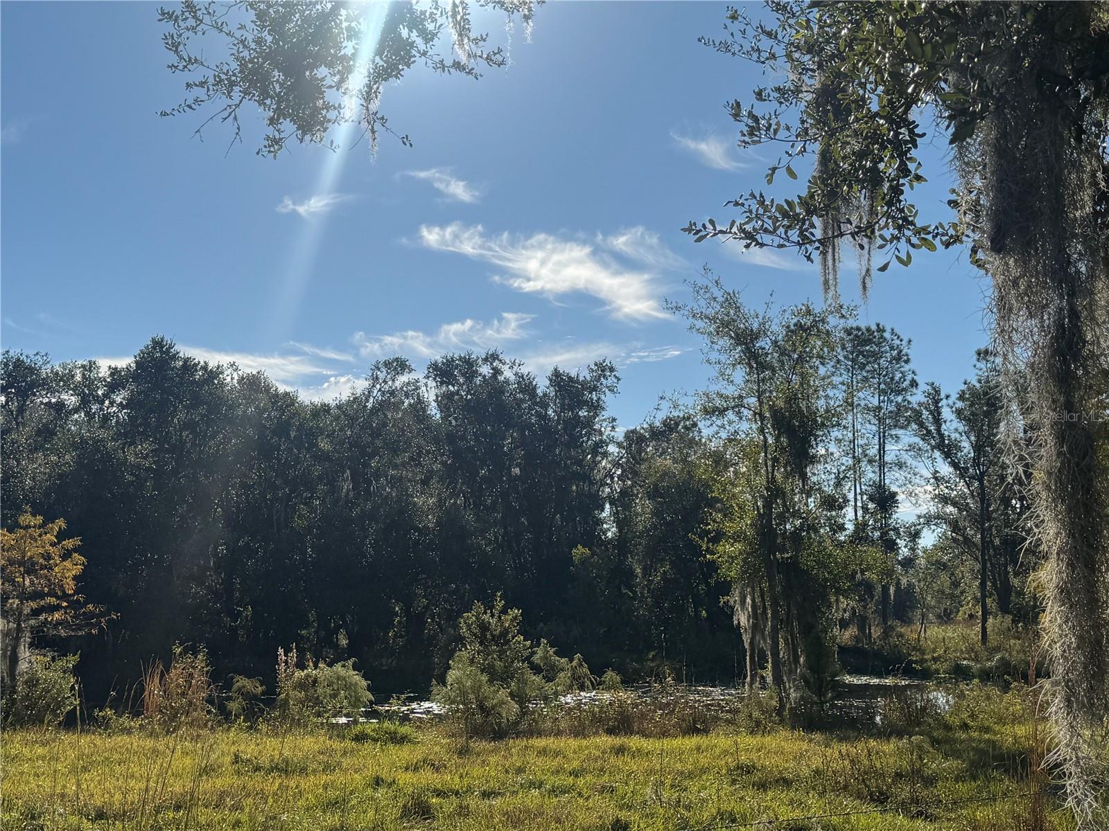 5812 N DORMANY RD, PLANT CITY, FL — photo 30