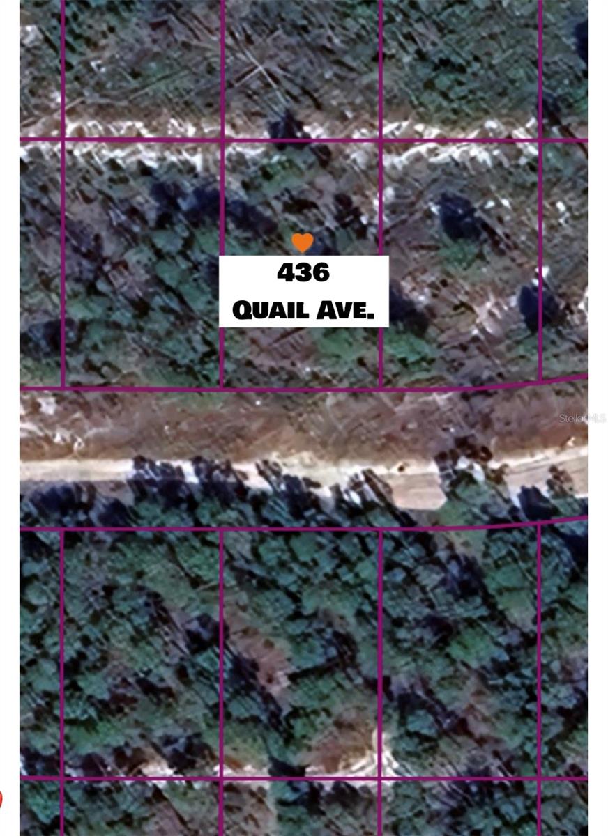 436 QUAIL AVE, SEBRING, FL