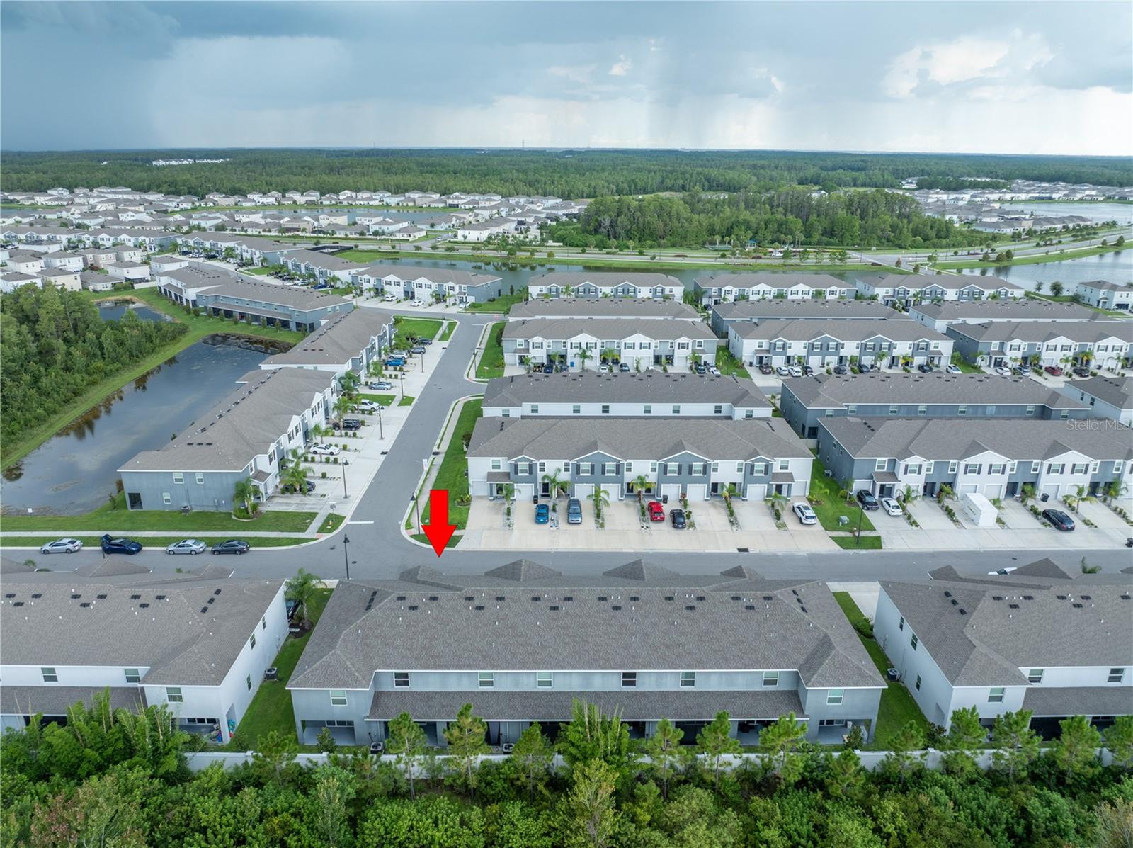 2886 SUNCOAST PLAINS DR, ODESSA, FL — photo 42