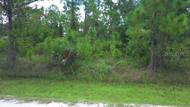 28072 CRESTWOOD DR, PUNTA GORDA, FL — photo 3