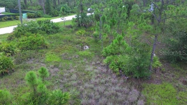 28072 CRESTWOOD DR, PUNTA GORDA, FL — photo 7