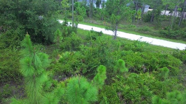 28072 CRESTWOOD DR, PUNTA GORDA, FL — photo 9