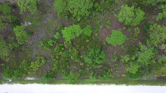 28072 CRESTWOOD DR, PUNTA GORDA, FL — photo 10