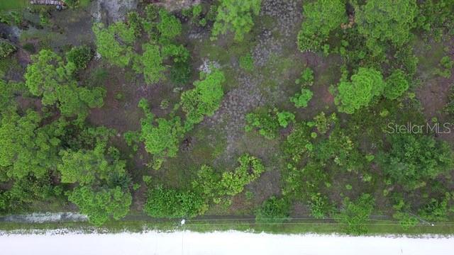 28072 CRESTWOOD DR, PUNTA GORDA, FL — photo 11