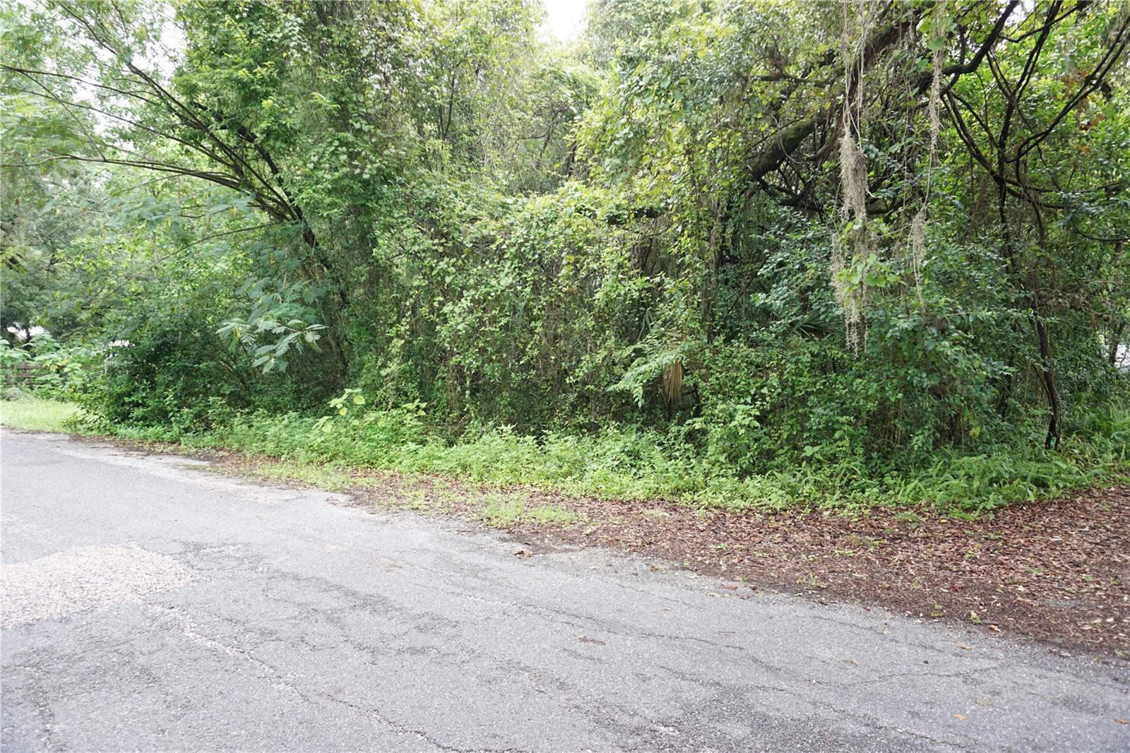 12701 NW 38TH AVE, REDDICK, FL — photo 14